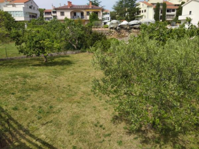 Apartman Avsec